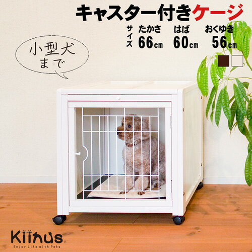 【楽天市場】キャスター付(適正犬種チワワ)(ケージ|犬小屋・ケージ・ゲート):犬用品<ペット・ペットグッズの通販 【楽天市場】キャスター付(適正犬種チワワ)(ケージ|犬小屋・ケージ・ゲート):犬用品<ペット・ペットグッズの通販