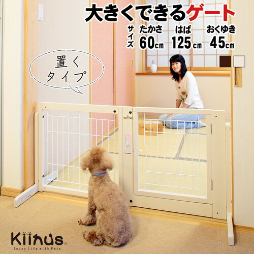 kiinus ̥ [ ƥॲ BF 60 å ] ڥåȥ ɥդ ڥåȥե ⤵60cm ...