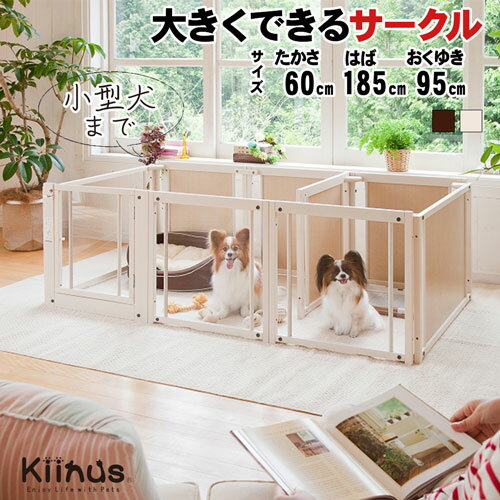 [ ץ饹 F 60Lp  ]kiinus ̥   ڥåȥ ¿Ƭ  Lp(185...
