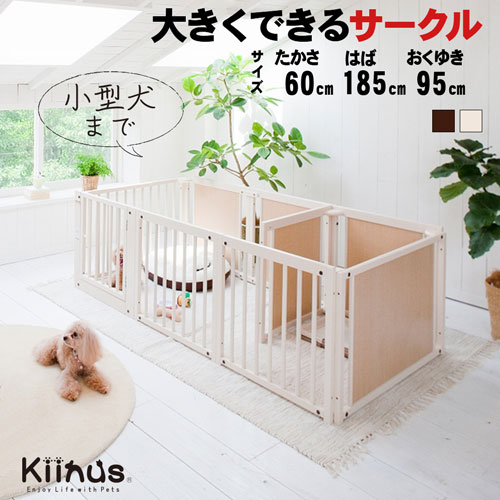 kiinus キーヌス 日本製 [ サークルプ�