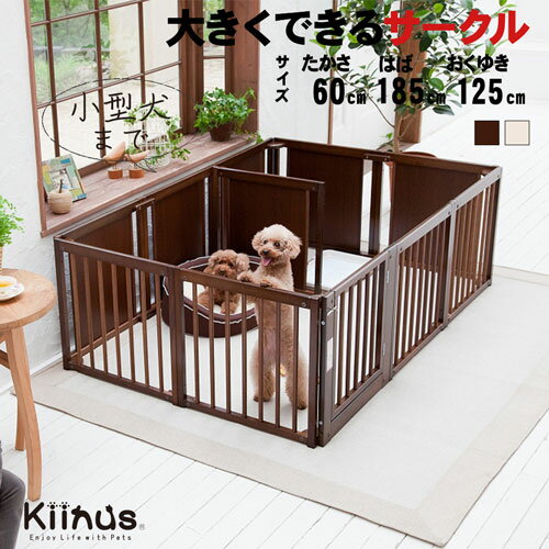 [ ץ饹 F60XLp ]kiinus ̥   ڥåȥ ¿Ƭ   ⤵60cm  ...