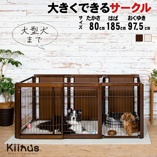 kiinus ̥  [ ץ饹 FS 80 Lp å ] ڥåȥ ¿Ƭ  Lp(185cm...