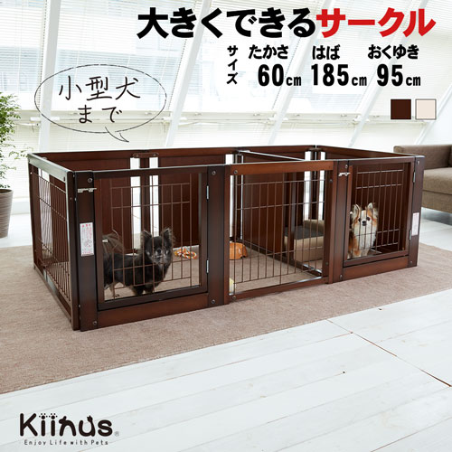 kiinus ̥  [ ץ饹 ġɥ F60Lp å ]  ڥåȥ ¿Ƭ  Lp...