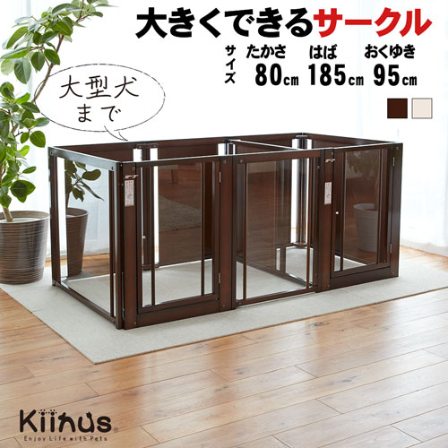 kiinus ̥  [ ץ饹 ġɥ F 80 Lp  ]  ڥåȥ ¿Ƭ  淿 ...