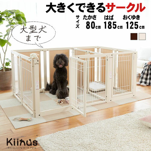 kiinus ̥  [ ץ饹 ġɥ F 80 XLp å ]  ڥåȥ ¿Ƭ  淿...