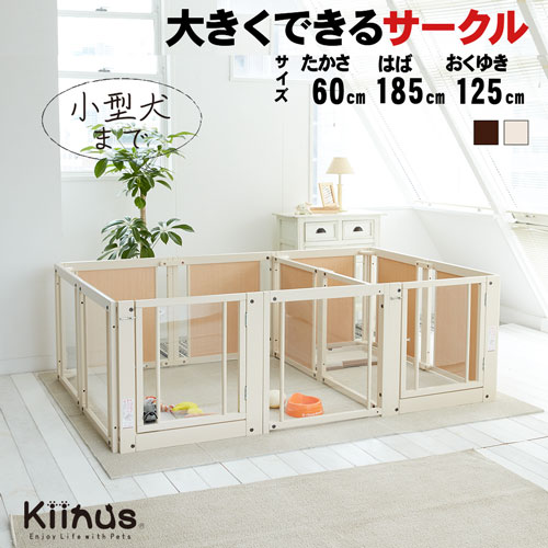 kiinus ̥  [ ץ饹 ġɥ F 60 XLp  ]  ڥåȥ ¿Ƭ  X...
