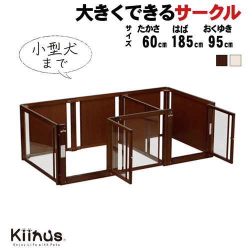 kiinus ̥  [ ץ饹 ġɥ F60Lp  ]  ڥåȥ ¿Ƭ  Lp...