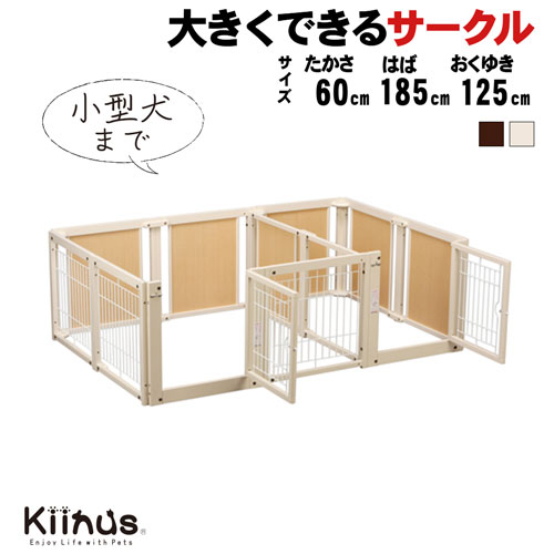 kiinus ̥  [ ץ饹 ġɥ F 60 XLp å ]  ڥåȥ ¿Ƭ  X...