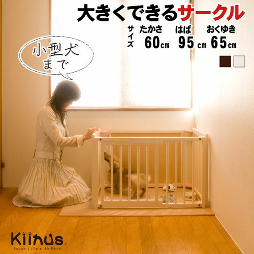 ڥåȥ 60XS kiinus ̥    ¿Ƭ   ⤵60cm  ƥꥢ ...