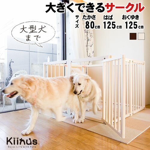 kiinus ̥  [ ڥåȥ 80 XL ]   ¿Ƭ  淿 緿 XL(125cm...