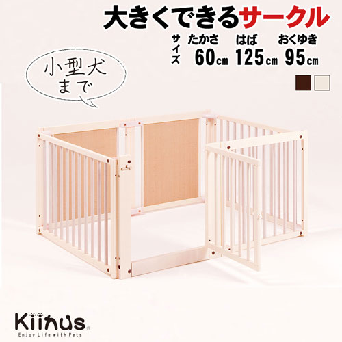 ڥåȥ F60L kiinus ̥    ¿Ƭ   2Ƭ ʣ ⤵60cm Ȥ...