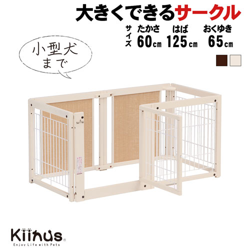 kiinus ̥  [ ڥåȥ F 60S åB ]   ¿Ƭ  S(125cmx...