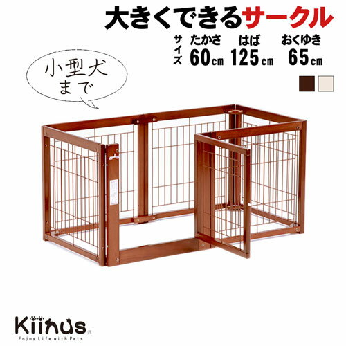 [ ڥåȥ F60S åA ] kiinus ̥    ¿Ƭ   ⤵60cm ...