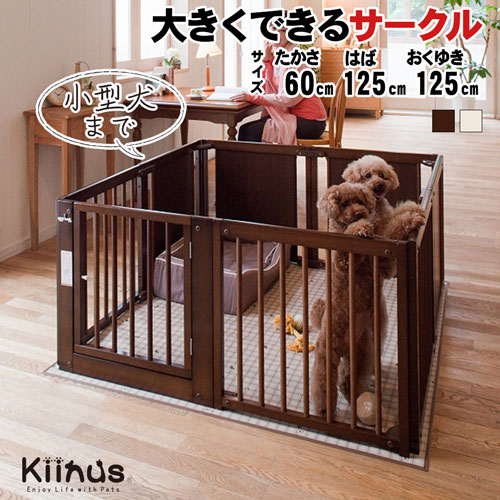 [ ڥåȥ F 60XL ]kiinus ̥    ¿Ƭ  XL(125cmx125cm...