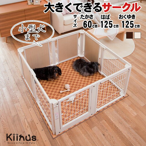 ڥåȥ F60XL åB kiinus ̥    ¿Ƭ   ⤵60cm  ...
