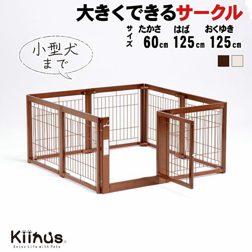 ڥåȥ F60XL åA kiinus ̥    ¿Ƭ   ⤵60cm  ...