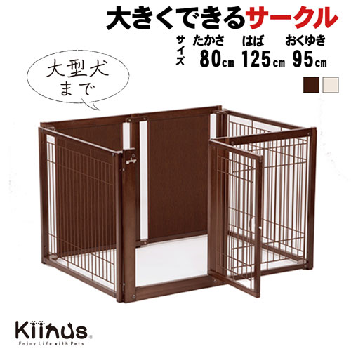 kiinus ̥  [ ڥåȥ F 80L åB ]   ¿Ƭ  淿 緿 L(...