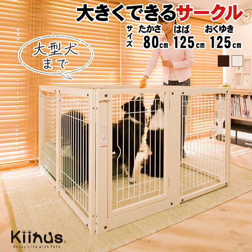 ڥåȥ F80XL åA kiinus ̥   ڥåȥ ¿Ƭ    淿 緿...