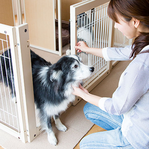 ペットサークル サークル プラス Fs 80 Xlp 犬 メッシュ 木製 キーヌス 据え置き 大型犬 サークル 多頭飼い 室内用 ドッグサークル スライドドア 仕切り 日本製 Kiinus ペット家具専門店キーヌススライド式扉タイプのペットサークルが新登場 仕切付きでサークル内を
