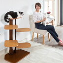 kiinus(キーヌス)  猫用 据え置き タワー ネコタワー キャット 多頭飼い おしゃれ 木製 室内用 日本製