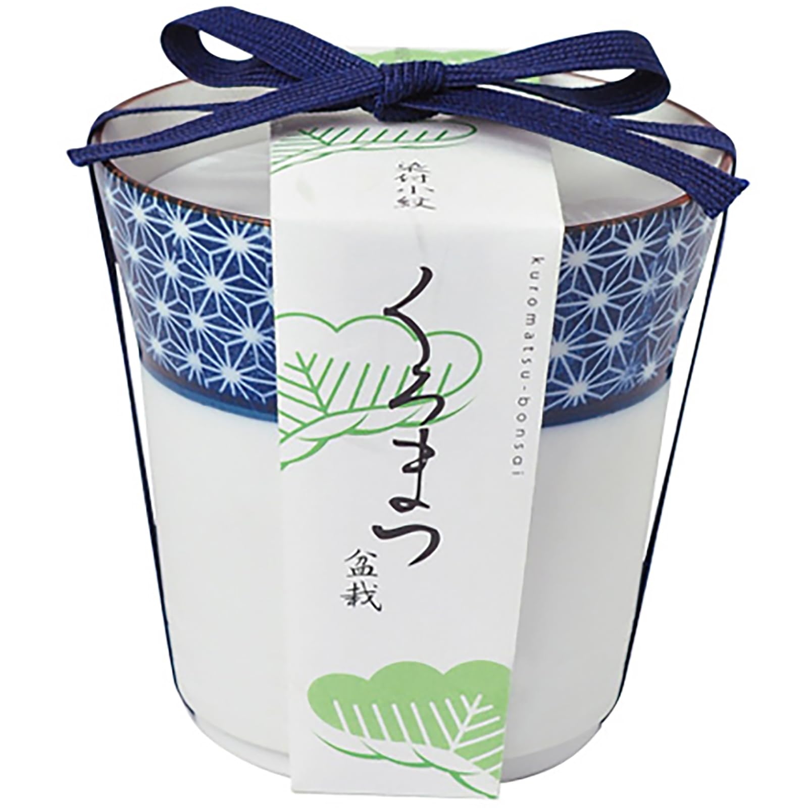 まめ盆栽 盆栽キット ミニ 栽培キット 黒松 簡単 栽培セット 約9cm 染付小紋盆栽栽培セット 父の日 母の日 プレゼント 誕生日