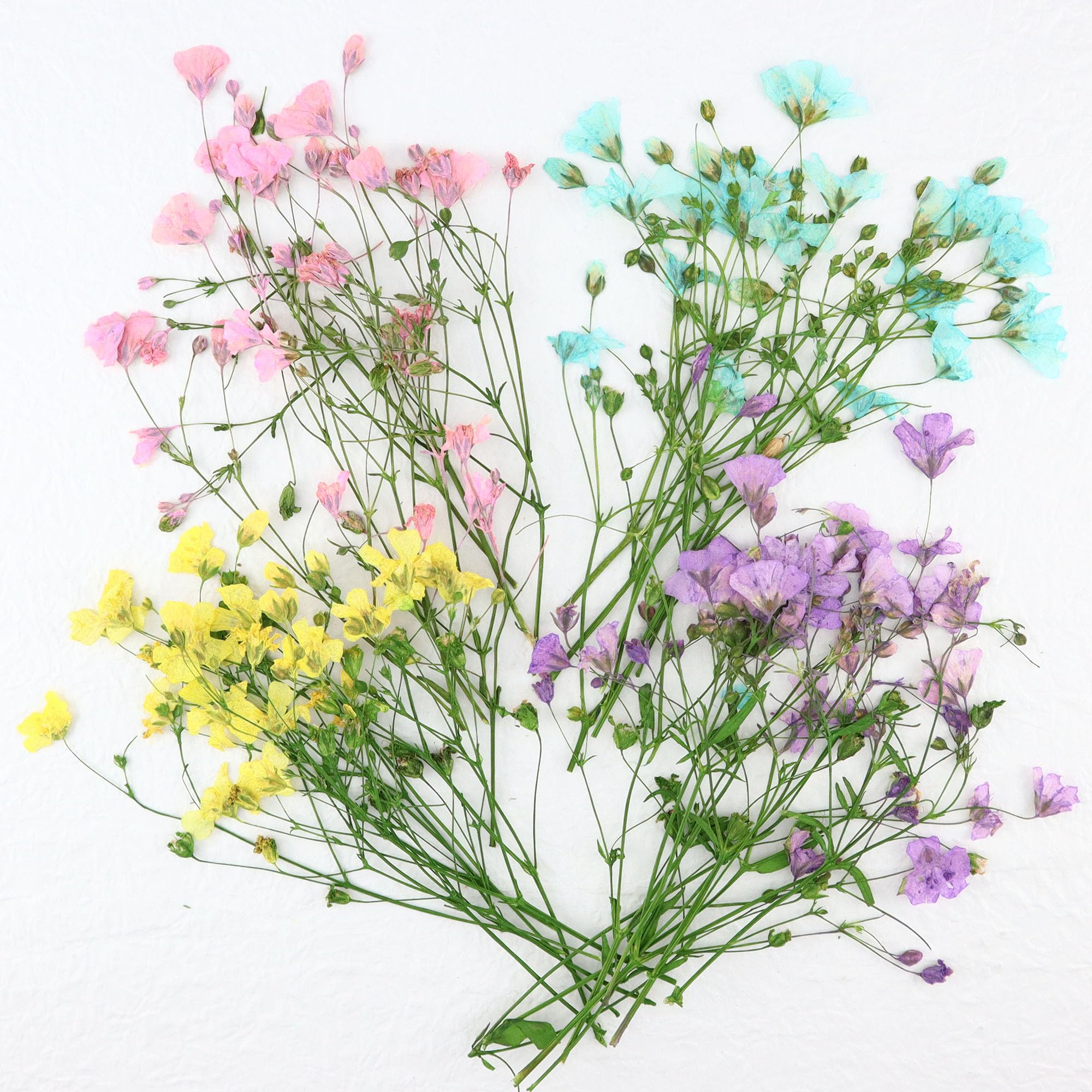 【2個セット】押し花 かすみ草 約32本 ネイル パーツ レジン 封入 素材 材料 4色セ...