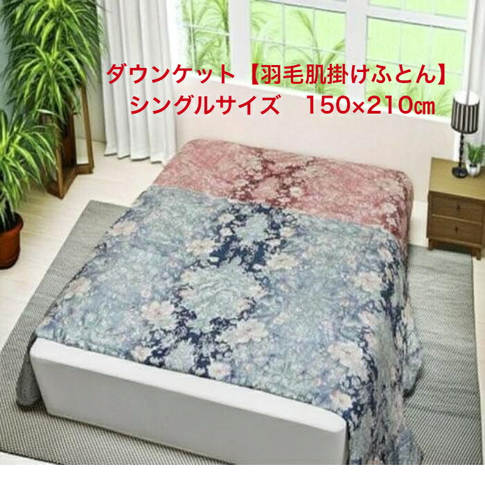 楽天市場】ホワイトダックダウン70%の通販
