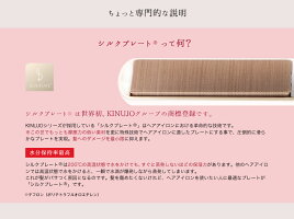 シルクテンプレートの魅力
