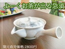 【錦山窯】窯元直売 瀬戸赤津焼 立花 急須 【口広 網付きセット おいしい お茶】引越祝い 結婚内祝い 出産内祝い 結婚祝い 出産祝い 誕生日 祝い プレゼント...