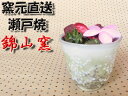 【錦山窯】【化粧箱入り】【15%OFF】窯元直売 瀬戸赤津焼 湯飲み 一珍大樹 デザートカップ、カフェボール、小鉢にも使える当店オリジナルブランドです