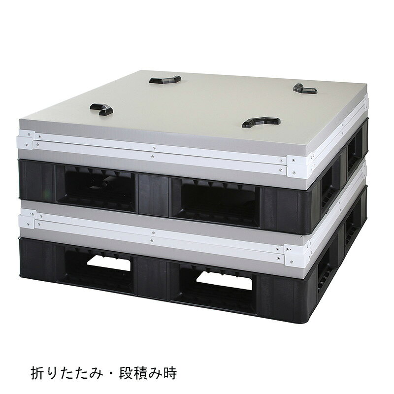 岐阜プラスチック工業 テクセル スリーブボックス SLタイプ パレット一体管理タイ...
