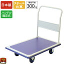 金象 キャリーラック STL大 積載荷重300kg ハンドル固定式 スチール台車 キャスター付き 静か 軽量 コンパクト 手押し台車 運搬 倉庫 搬入 引っ越し...