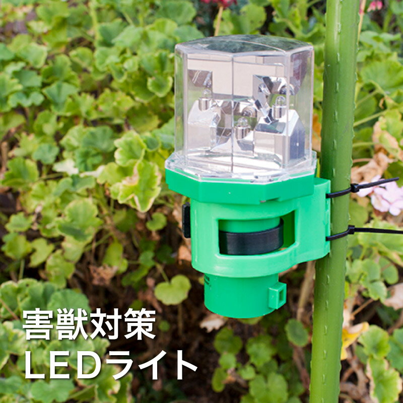 ミツギロン アニマルパンチ・ホルダーセット EG-79 防獣 MITSUGIRON