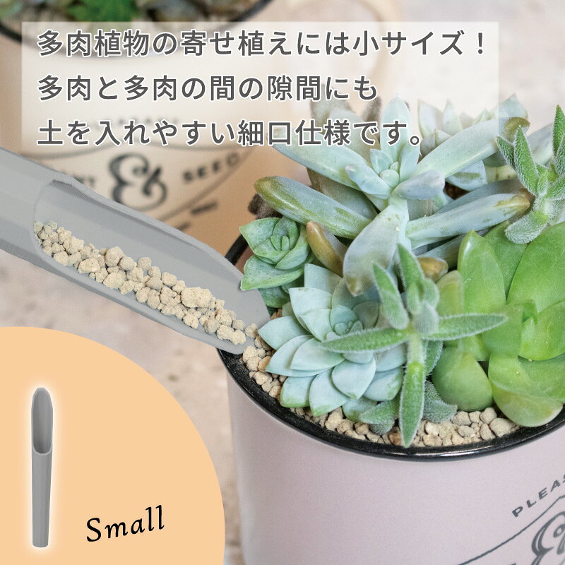 FG プラ多肉に使える土入れ2点セット グレー 多肉植物 寄せ植え 植え替え 道具 ミ...