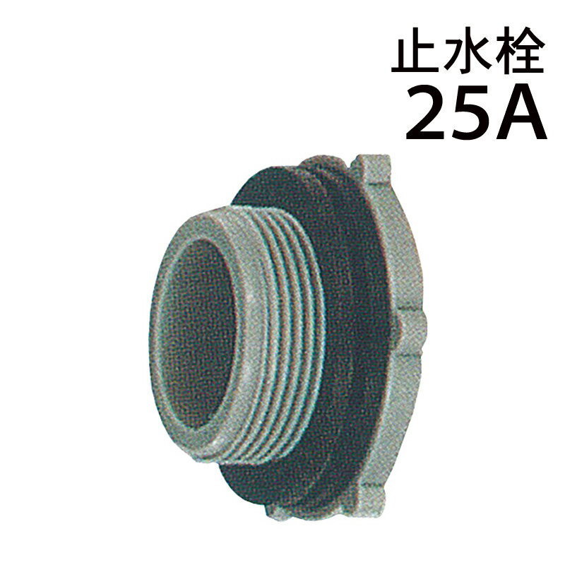 ޡ ߿ (ץ饰) 25A ꡼