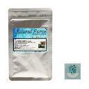 ナチュラルフォース シャドー バージョン 10g エビ 飼育 シュリンプ フード 【kiokuru開封日シールセット】