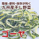 【国産】乾燥野菜(干し野菜)ゴーヤ