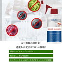3本セット カビ取り剤 カビ除去 強力 人畜無害 60Ml 家庭用カビ取りスプレー カビクリーナーフォーム 強力なカビ除去剤 カビ汚れ除去剤 カビ除去剤 キッチ...
