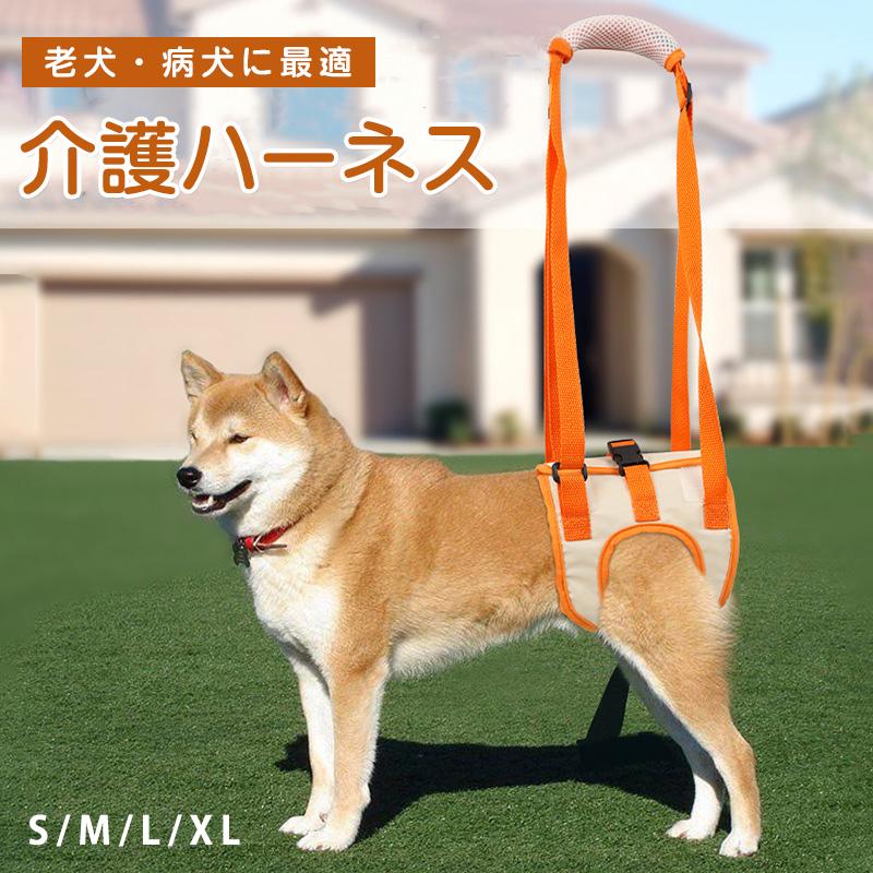 ޥ饽 2000OFFݥϡͥ ϡͥ ڥå Ϸ ­ Ϸ 淿  緿 µ ...