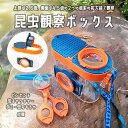 昆虫観察ボックス 昆虫採集キット 4点セット 昆虫ケース ケージ レンズ付き 飼育 観察 虫かご 拡大鏡 夏 ピンセット ストラップ 持ち運び