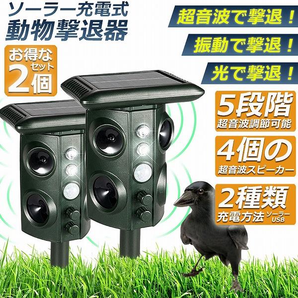 ޥ饽 2000OFFݥǭ Ķ 顼 ɿ 2ĥå ͤ褱 Ļ褱 褱 ǭ ưʪ ʵﳲ...