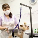 3点セット 犬 グルーミング キット ペット グルーミング ループ 調整可能 犬 グルーミング スト 犬 送料無料