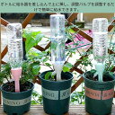 自動水やり器 ペットボトル 観葉植物水やりペットボトル 自??水器?芸 ペットボトル自動水やり器 各サイズペットボトル対応 水遣り当番観葉植物 植物自動じょうろ 観叶植物自?水やり