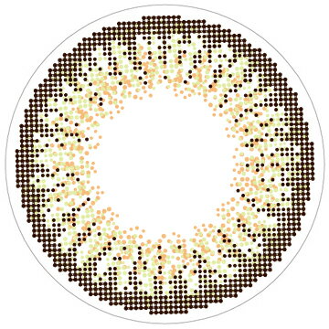 ラヴェールワンデー アクアリッチ シアーヘーゼル 10枚入り ×2箱セット T-Garden カラコン カラーコンタクト 1day ワンデー 1日使い捨て 度あり ナチュラル カラーコンタクトレンズ 送料無料 14.2 倖田來未