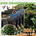 三陸・重茂産　塩蔵わかめ 「プレミアム春いちばん」　100g×3袋