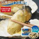 【売りつくし特価】殻付き牡蠣(電子レンジ調理可) 500g【 宮城県産...(4)