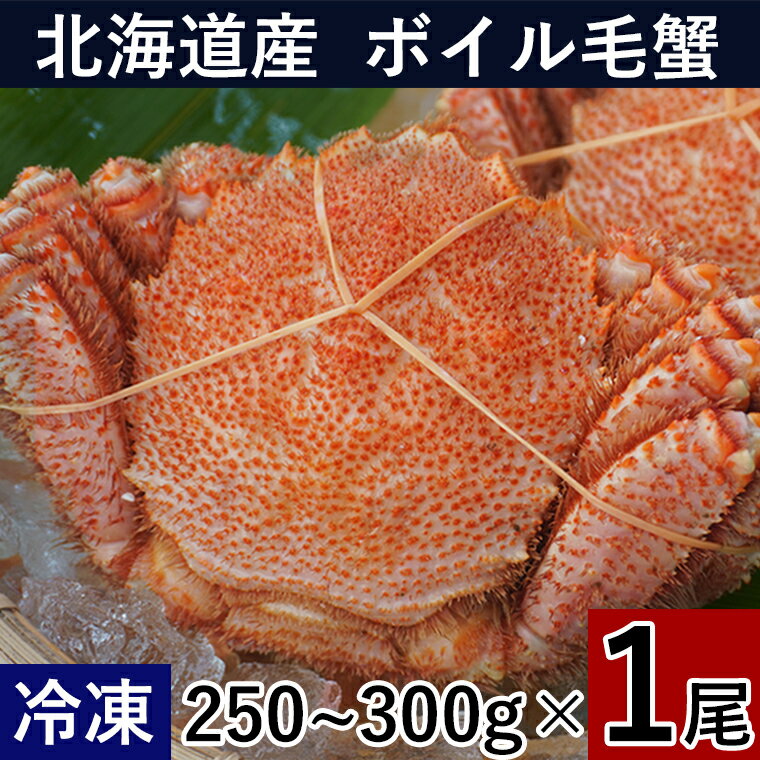 北海道産 ボイル毛ガニ 250～300g ×1尾 冷凍　【毛蟹 ケガニ けがに かに 蟹 お取り寄せ ...