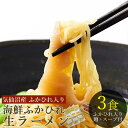 気仙沼 海鮮ふかひれ生ラーメン 3食入（生麺）【敬老の日 父の日 ふかひれラーメン 気仙沼 フカヒレ ...