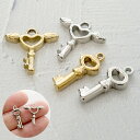 ステンレス チャーム【32】 鍵 2種類 カギ 魔法 金属アレルギー対応 魔法のステッキ 杖 ミニチュア ドール用 小道具 小さめ