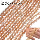 【126】 ビーンズ 淡水パール(約2.5mm)1連 DIY 国内発送 ライス パワーストーン 天然石 ビーズ パーツ